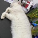 叫我哥们